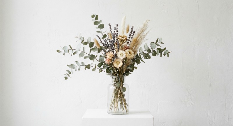 Herbs and plant extracts